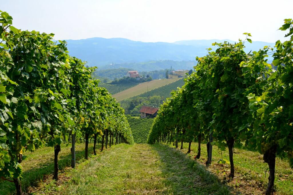 Krajobraz Słowenia